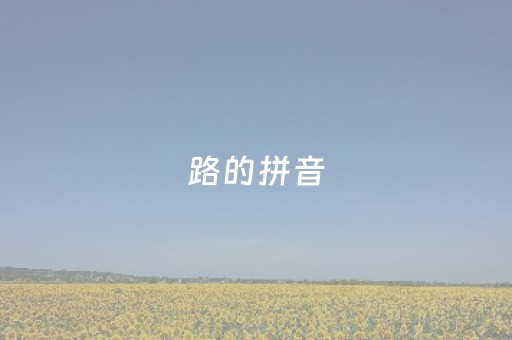 路的拼音（路的拼音怎么读音写的呀）