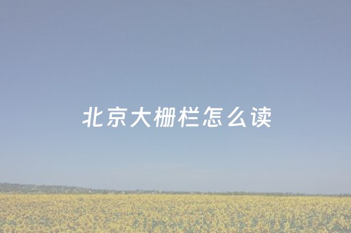 北京大栅栏怎么读（大栅栏为啥叫dashilan）