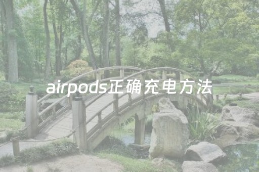 airpods正确充电方法（airpods使用充电方法）