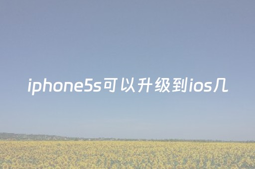 iphone5s可以升级到ios几（iphone8能升级ios16吗）