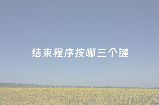 结束程序按哪三个键（windows 强制结束任务）