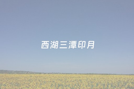 西湖三潭印月（西湖三潭印月景点介绍）