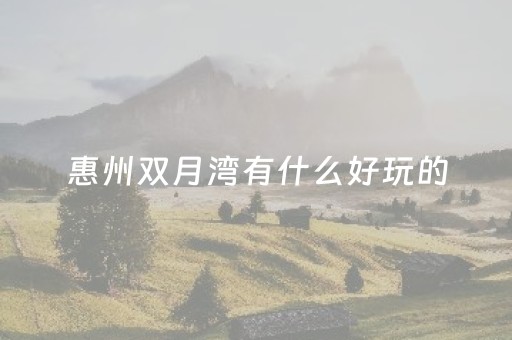 惠州双月湾有什么好玩的（惠州双月湾旅游攻略）