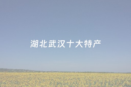 湖北武汉十大特产（“武汉特产”）