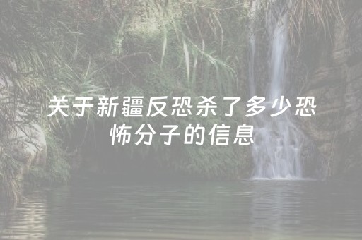 关于新疆反恐杀了多少恐怖分子的信息