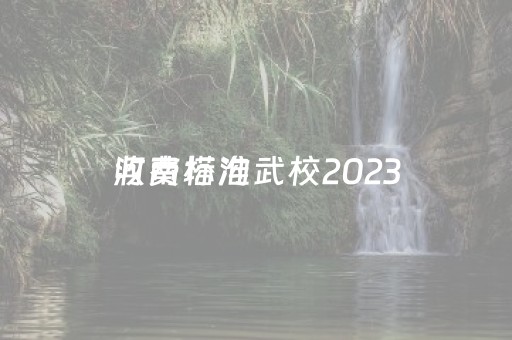 河南塔沟武校2023
收费标准（河南塔沟武校收费标准
）