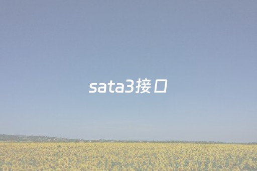 sata3接口（sata3接口长什么样）