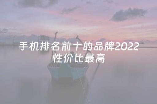 手机排名前十的品牌2022性价比最高（手机排行榜2023
前十名最新性价比）