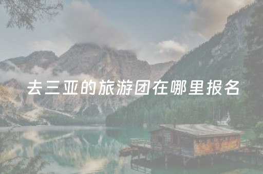 去三亚的旅游团在哪里报名（三亚旅游团怎么报名）