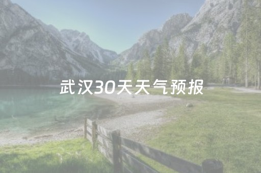 武汉30天天气预报（武汉40天天气预报）