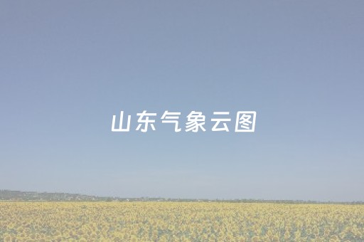 山东气象云图（山东气象云图实况）