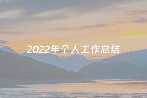 2022年个人工作总结（社区工作者2022年个人工作总结）