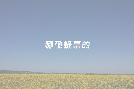 订飞机票的
哪个好（订飞机票的
哪个好一点）