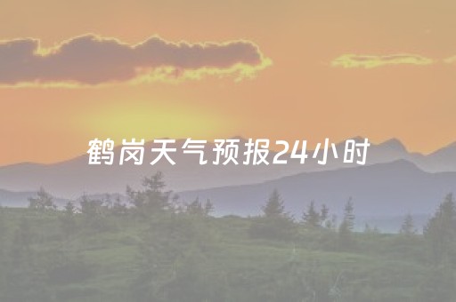 鹤岗天气预报24小时（鹤岗天气预报24小时查询）