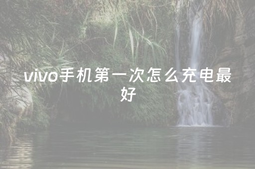 vivo手机第一次怎么充电最好（vivo手机第一次充电怎么充比较好）