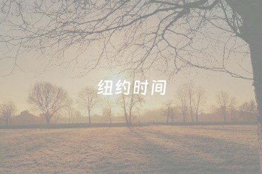 纽约时间（纽约时间与北京时间换算）