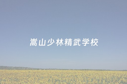 嵩山少林精武学校（嵩山少林精武学校全友利教练）