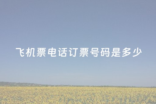 飞机票电话订票号码是多少（飞机票电话订票号码是多少啊）