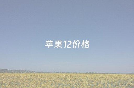 苹果12价格（实体店苹果12价格）