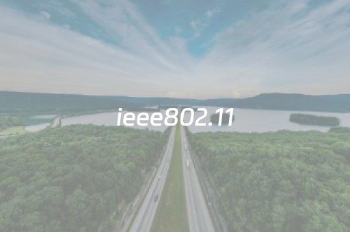 ieee802.11（ieee80211b极大
传输速率）