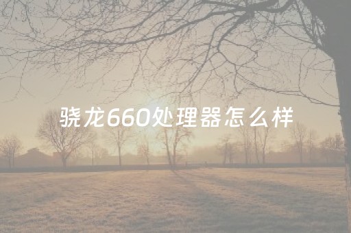 骁龙660处理器怎么样（骁龙660处理器怎么样2023）