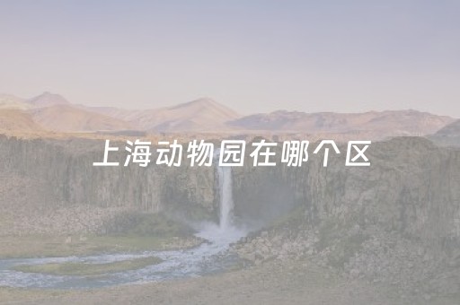 上海动物园在哪个区（上海动物园在哪条路）