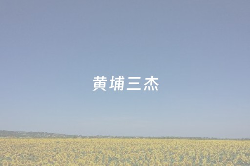 黄埔三杰（黄埔三杰谁评的）