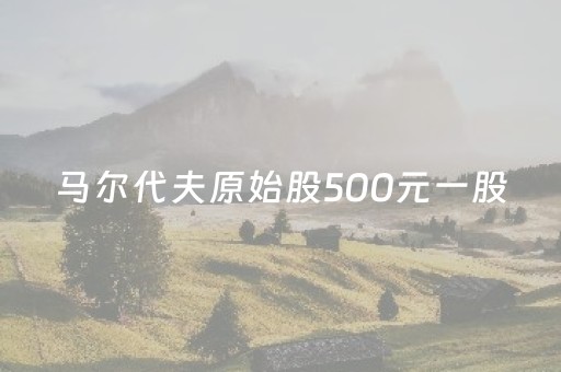 马尔代夫原始股500元一股（马尔代夫国际盘原始股投资相关人物）