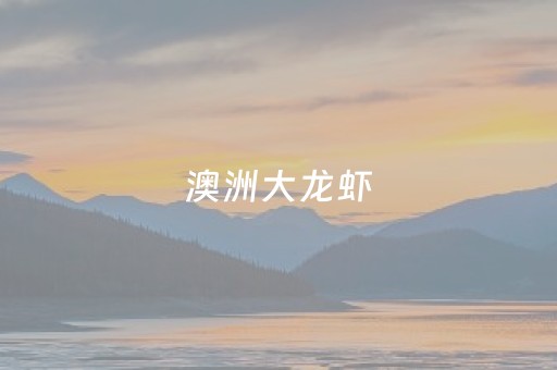 澳洲大龙虾（澳洲大龙虾家常做法）