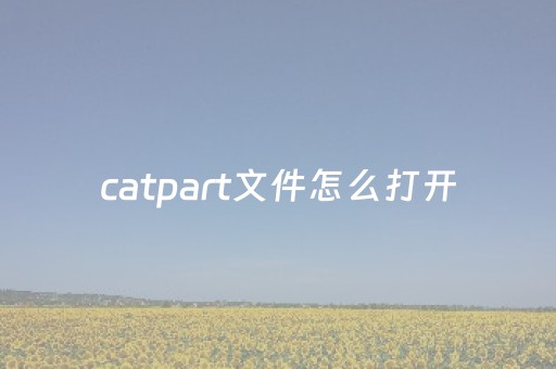 catpart文件怎么打开（catpart文件用手机怎么打开）