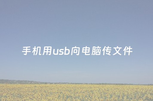 手机用usb向电脑传文件（手机用usb向电脑传文件
）