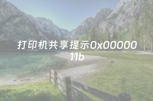 打印机共享提示0x0000011b（打印机共享提示0x0000011b错误）