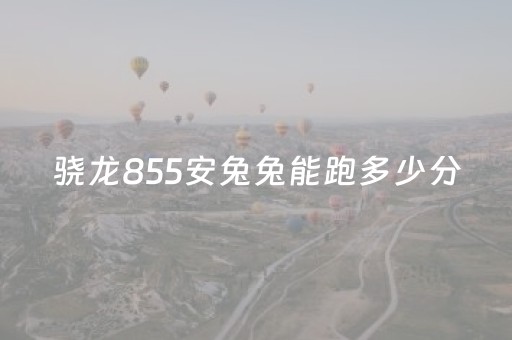 骁龙855安兔兔能跑多少分（骁龙855p安兔兔）