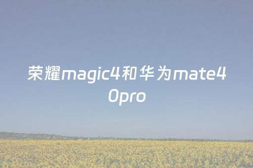 荣耀magic4和华为mate40pro（华为荣耀magic4pro）