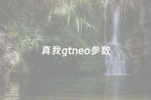 真我gtneo参数（真我gtneo参数和配置）