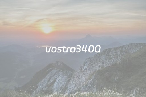 vostro3400（vostro3400声卡缺陷）