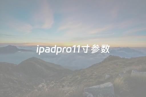 ipadpro11寸参数（ipadpro11寸参数长宽）