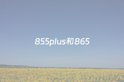 855plus和865（855plus和865功耗对比）