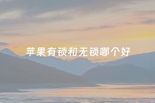 苹果有锁和无锁哪个好（14美版无锁机建议买吗）