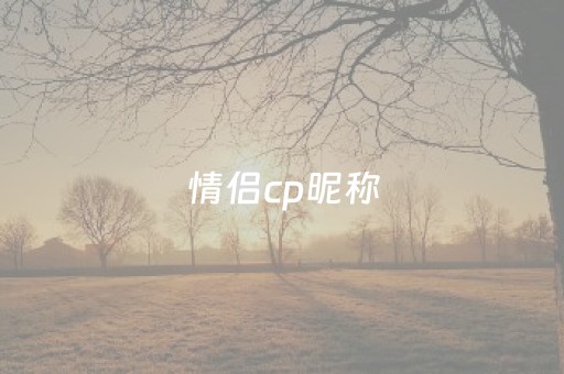 情侣cp昵称（情侣昵称二人专用）