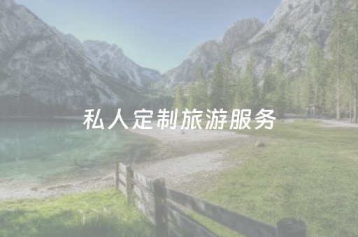 私人定制旅游服务（私人定制 旅游）