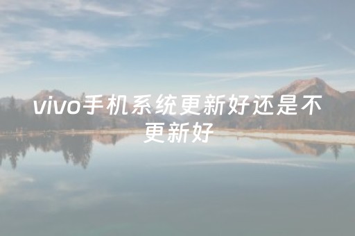 vivo手机系统更新好还是不更新好（vivo手机是更新好还是不更新好）