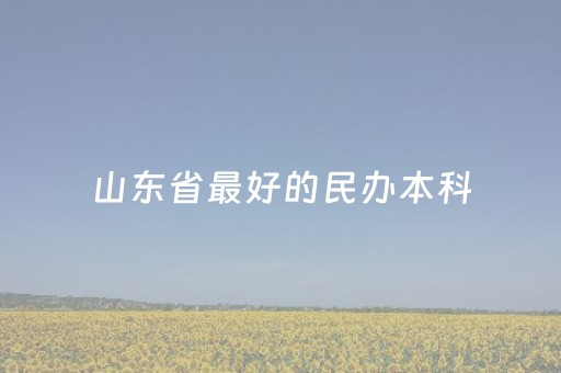 山东省最好的民办本科（山东省最好的民办本科学费）