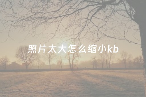 照片太大怎么缩小kb（手机相册照片太大怎么缩小kb）