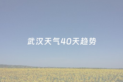 武汉天气40天趋势（武汉未来40天的天气情况如何）