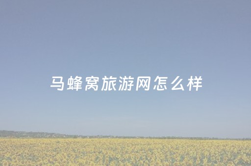 马蜂窝旅游网怎么样（马蜂窝旅游网址是什么）