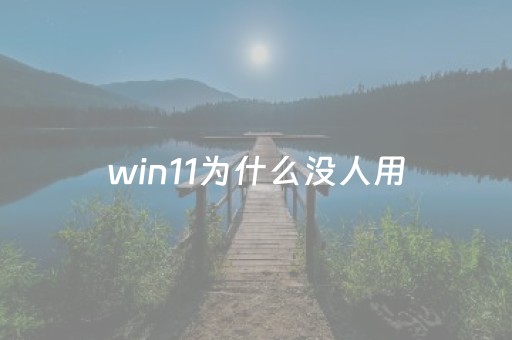 win11为什么没人用（win11为什么要求这么高）