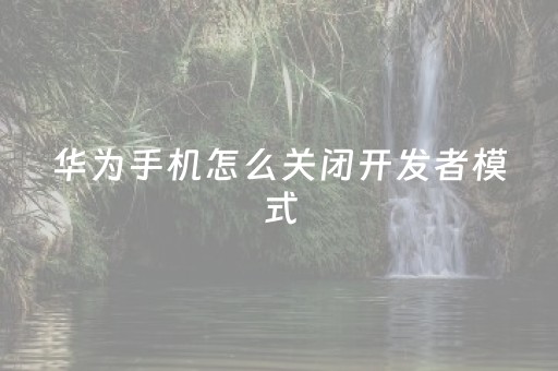 华为手机怎么关闭开发者模式（华为手机怎么关闭开发者模式选项）